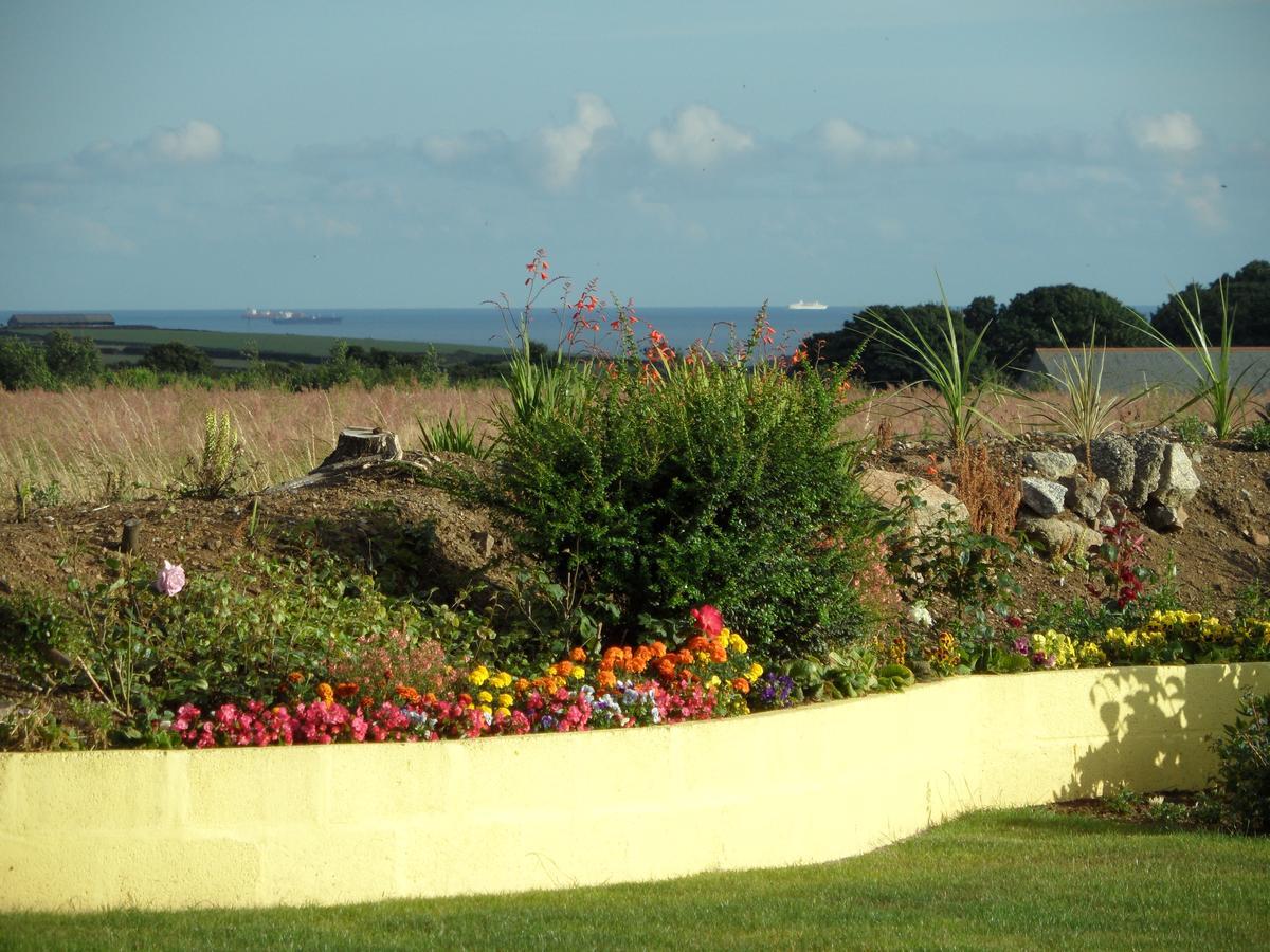 Bed and Breakfast Monterey Pines Хелстон Экстерьер фото